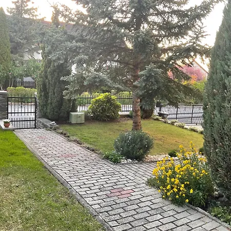 Apartment Ulrich *